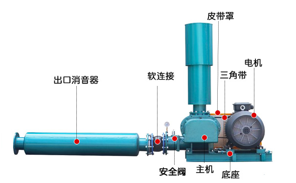 三叶罗茨鼓日本正能量行情网(图3)
